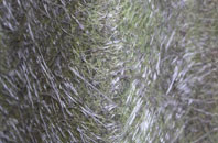 Cannons Green fibreglass roof work